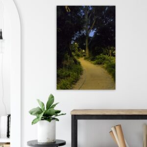 Supreme Court Gardens, Perth, WA (PEFR23-06) - Brushed Aluminum Print